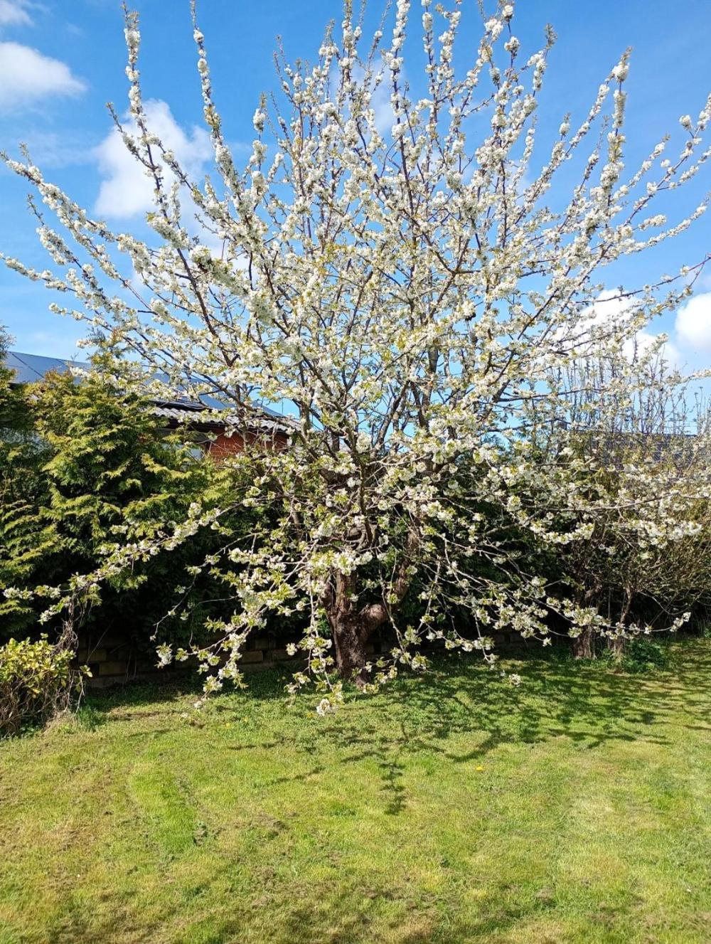 Vila Coolt Oxie Exteriér fotografie
